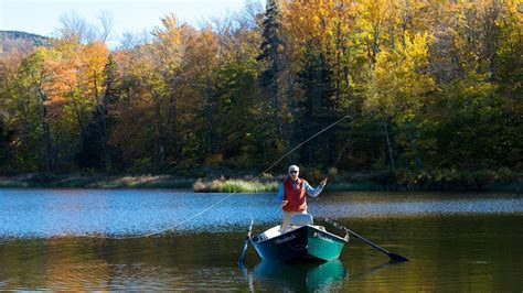 Fishing Licenses in Vermont: Regulations, Fees, and Renewal.